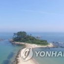 진하해수욕장 이미지