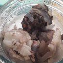 송지한의원 | 기록 40 l 어렵다 마음이 어렵다