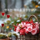 영농조합법인 베리줌마 | 전북 임실 베리줌마 농장 방문기｜유기농 블루베리 한 팩에 담긴 진짜 농부의 정성...임실 청정 지역...
