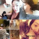 들기획 스포츠경향