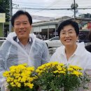 삼성시장경로당 이미지