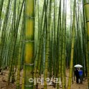 바람소리새소리 이미지