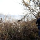 장암진성 이미지