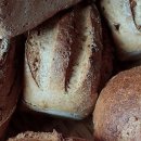 수호 시스템 | 우리 집 수호천사, 하수구 고민 깔끔하게 해결했어요!