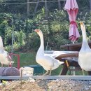 서촌경로당 이미지