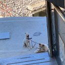 미타임하우스 이미지