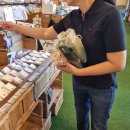 힐스토리2 이미지