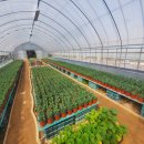 생활자원실습장 이미지