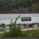 박곡천 이미지