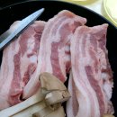 금호강 23번 | 청도 피노 대구 부산 근교 당일 물놀이 카페 (가격, 한여름 이용후기 팁)
