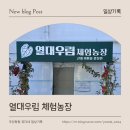 김해농장2 | 경남 아이랑 가볼만한 곳│김해 실내 데이트 파충류 체험 "열대우림체험농장" 내돈내산 찐후기