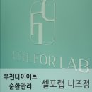 부천 다이어트 셀포랩 니즈점에서 누워서하는 다이어트 체험후 감량 후기