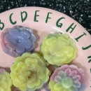 권준농장 이미지