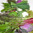 대실농장 이미지