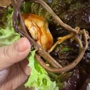 논현 점심 맛집, 왜 더바른정육식당일까?