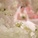 계산축사 | 인천 CN웨딩홀 계산점 베르테홀 본식 스냅사진 후기: 군인 예식부터 감동적인 축가까지