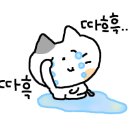 코끼리인형뽑기 이미지