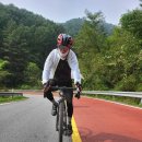 하너미로 이미지