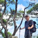 대강면 송내마을 이미지