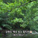 산머루집민박 이미지