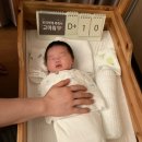 제이에스호텔클래식 | 안양 제이에스 산후조리원 후기 🛏️ (1편) : 내부 시설, 식단 리얼 후기