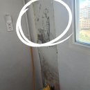 5451 | 대전 보일러 충남 계룡시 우림루미아트아파트 설치 후기