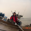 2006년12월24일 화성군 서신면 궁평리 해수욕장과 궁평리항에서 이미지