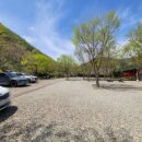 숲스토리야영장 이미지