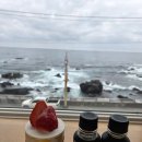 일출로 | 묵호여행 펜션은 오션뷰 일출로 405