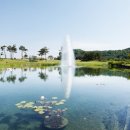 디아너스컨트리클럽 이미지