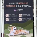 아로멍 이미지