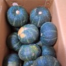 라파지압원 이미지