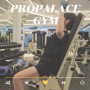 프로 팰리스 짐 이미지