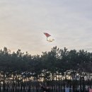 신호솔밭공원 이미지