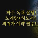 에스파시오 | 대규모 독채 노래방 히노끼탕 숙소 3곳 | 에스파시오 아늑호텔 솔직 후기 | 인원별 테마별 맞춤 예약 꿀팁
