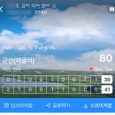 싱글 플레이 어떻게 하는 거지? 익산,전주 코스 싱글 플레이 직관 후기