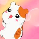 코엑스짐 군자역점 이미지