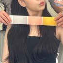 새롭고하얀미용실 | 고정현헤어 시그니처점 혜미쌤한테 골격진단 퍼스널컬러 웨딩진단 받고 온 내돈내산 후기