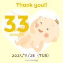 일기: 33주 차] 배뭉침+허리 통증 콤보, 요가, 운암동 홍스시, 삼총사 뮤지컬, 트리 꾸미기, 철분제 부작용