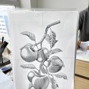 펜으로 그려보는 기초 어반드로잉 | 어반 스케치를 꿈꾸며 시작한 펜 드로잉 기초 수업