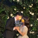 덩쿨 | 어반스튜디오 강남 (토탈 스튜디오) #덩쿨 배경 촬영 후기