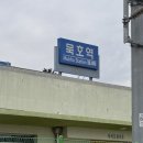묵호 여행 후기 / 뚜벅이 여행 추천 / 당일치기 여행 루트 / 내돈내산