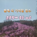 카페 거너실 이미지