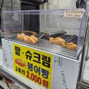 강진-46 | 가락시장 강진수산｜올해 첫 대방어 개시(내돈내산, 가격, 온누리상품권 할인)