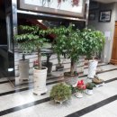 유성명가 만나 이미지