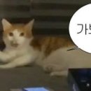 에이치에이트 골프 네이버블로그