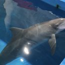 비봉슈퍼 이미지