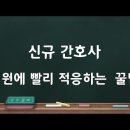 신규 간호사가 알아두면 유용한 약이름(제품명) 이미지