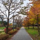 아름도담길 이미지