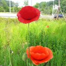 오학한의원 이미지